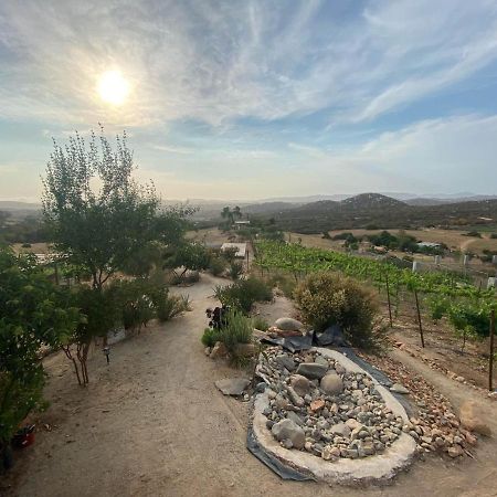 Chalet Nativo - Fabulous Terrace&Vineyard Valle de Guadalupe Exterior foto