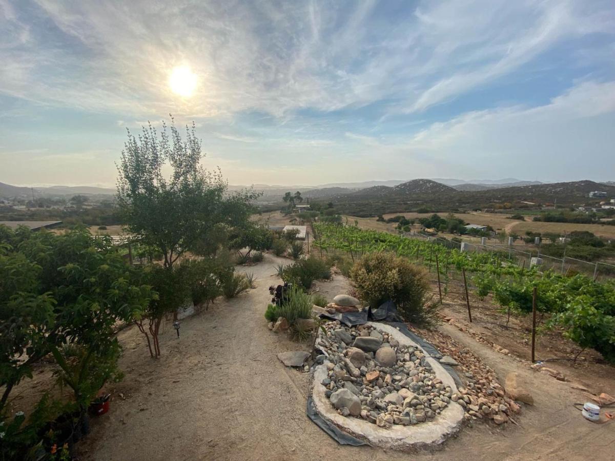 Chalet Nativo - Fabulous Terrace&Vineyard Valle de Guadalupe Exterior foto
