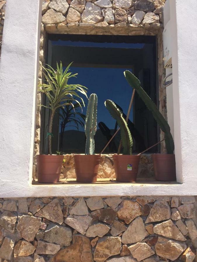 Chalet Nativo - Fabulous Terrace&Vineyard Valle de Guadalupe Exterior foto